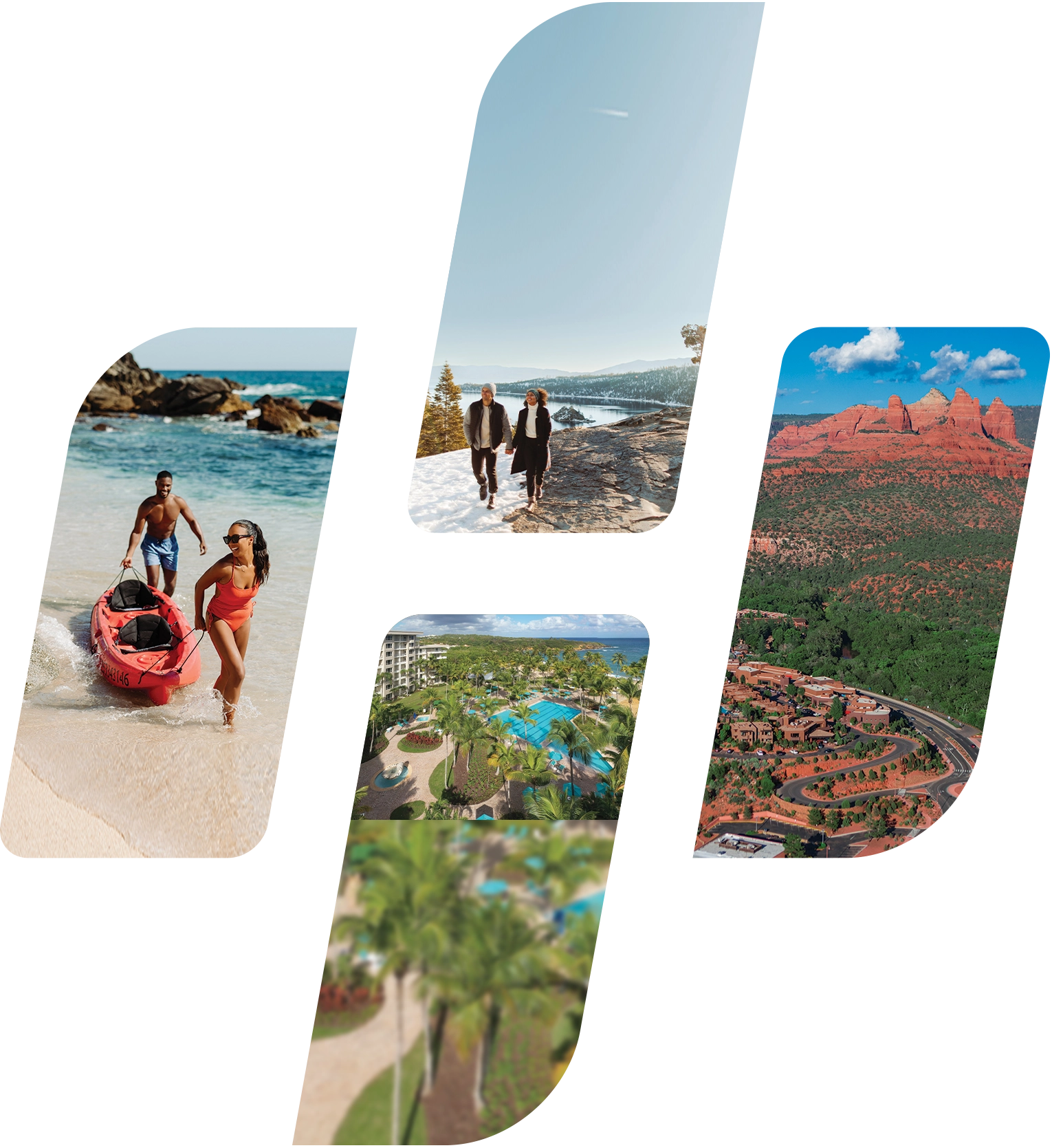 collage image of logo with four photos on green background