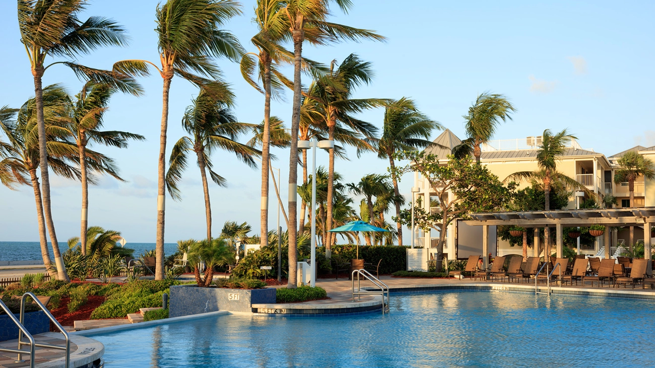 The wind gently blows palm trees in front of a resort pool