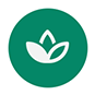 icon of three white lotus leaves on green background