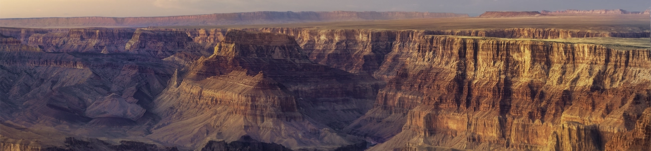 arizona