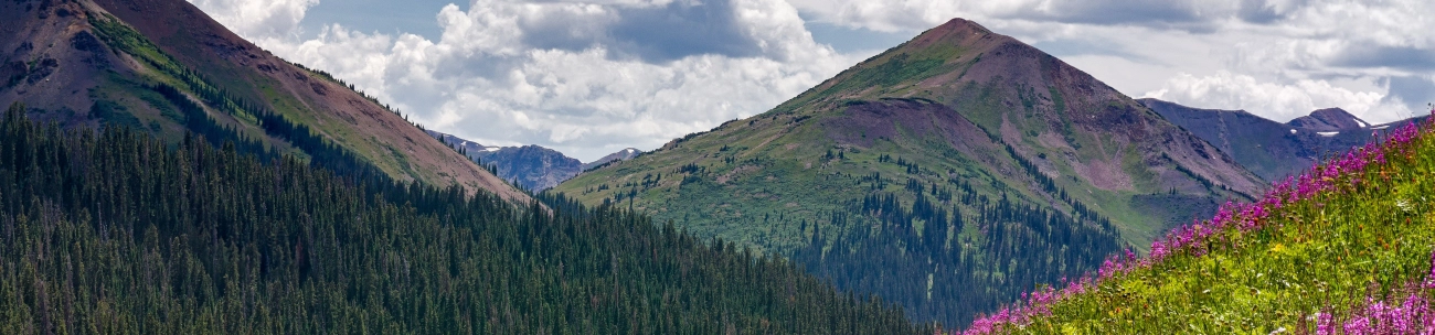 colorado