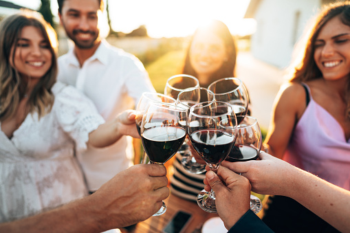 happiness friends toasting in autumn