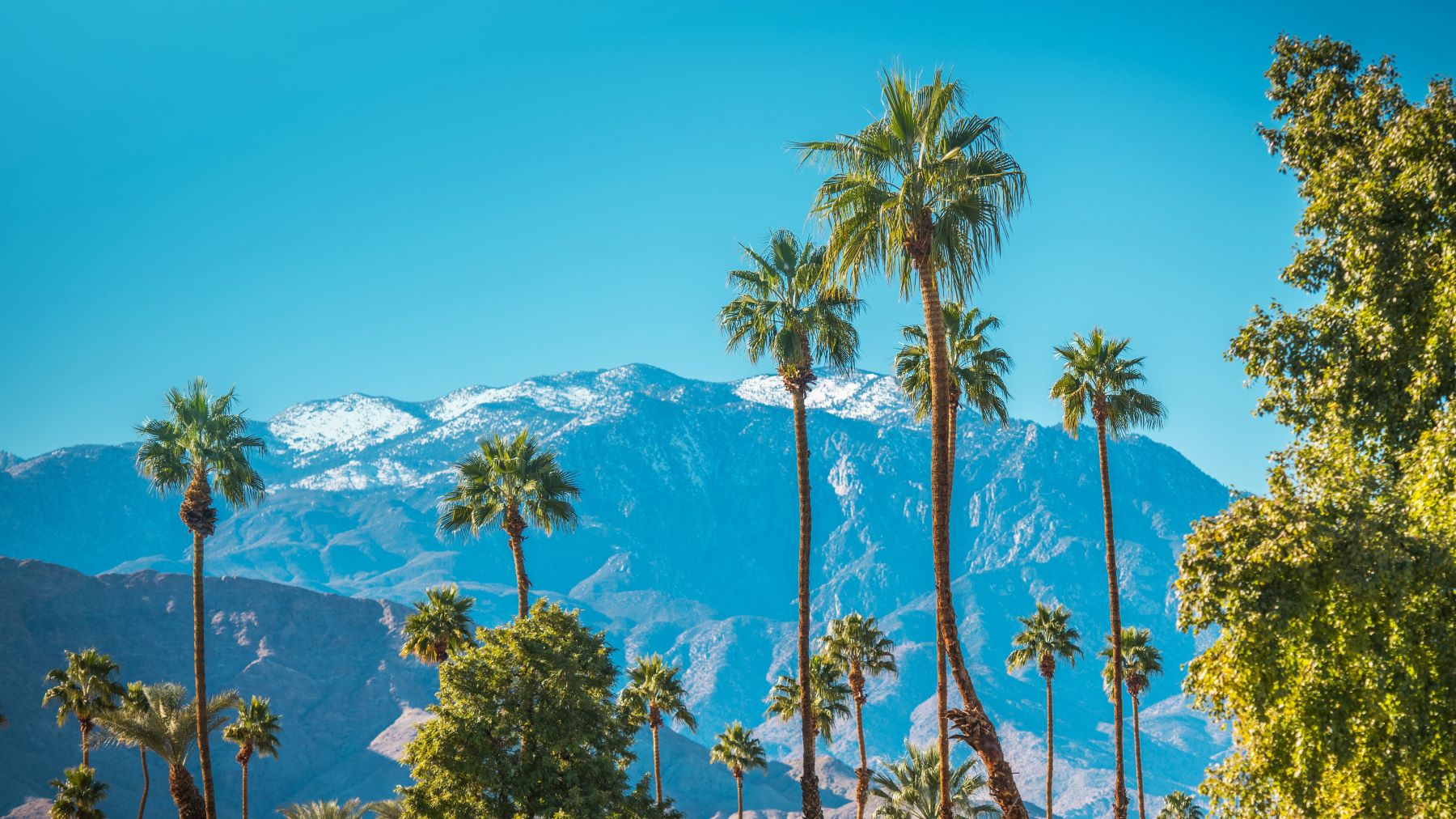 7 Fun Palm Springs Activities for the Winter