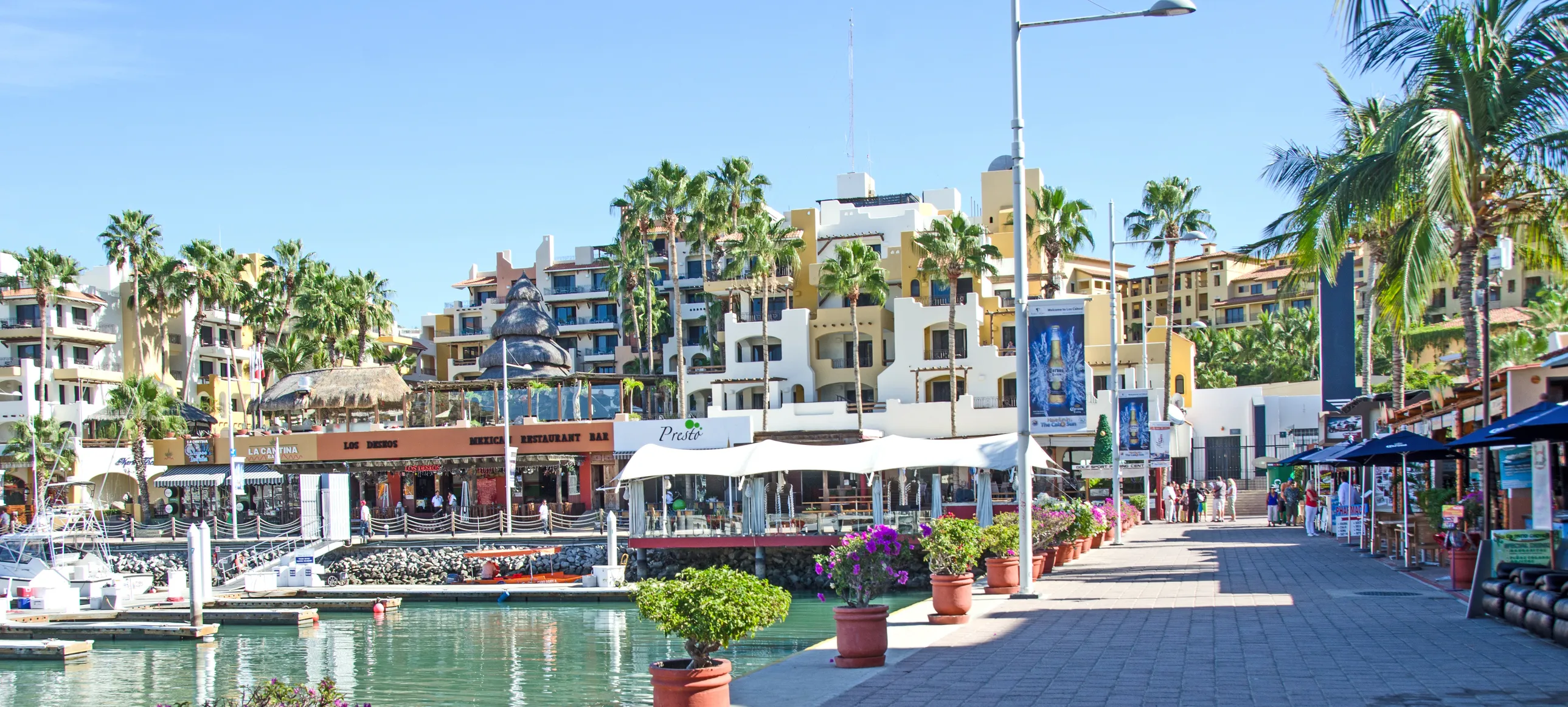 Boats docked at the harbor in Cabo San Lucas with waterfront buildings and palm trees.