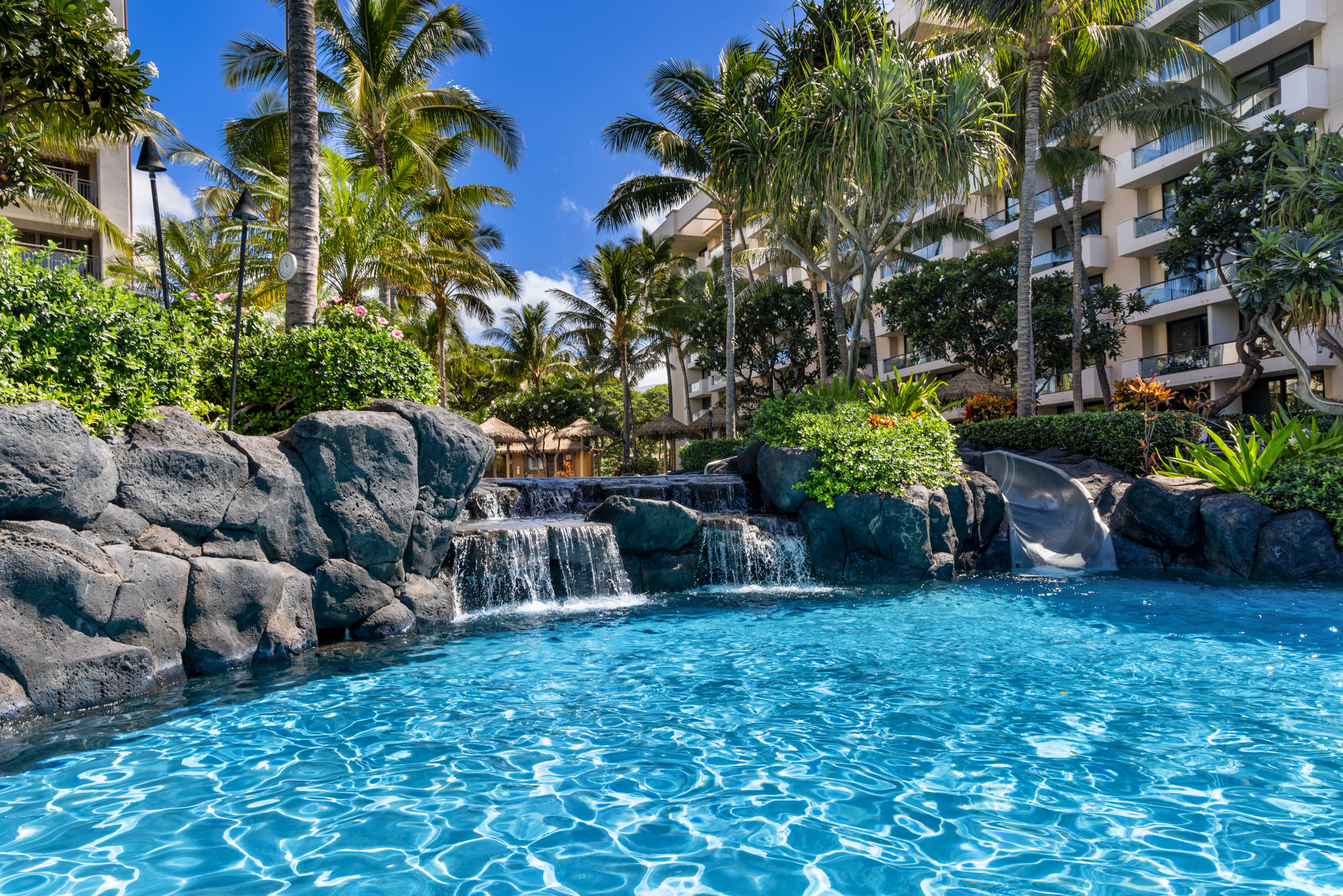 Lagoon-style pool surrounded by lava rocks, palm trees, and lush greenery.