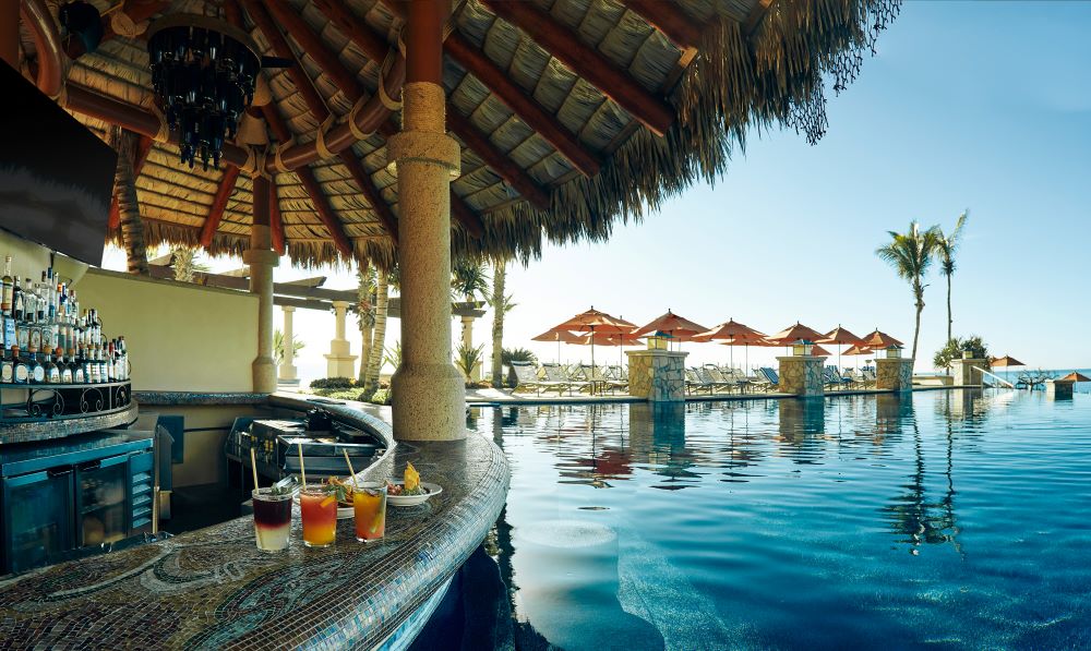 Cabo San Lucas Top 5 Marine Life Encounters in the Fall | Hyatt