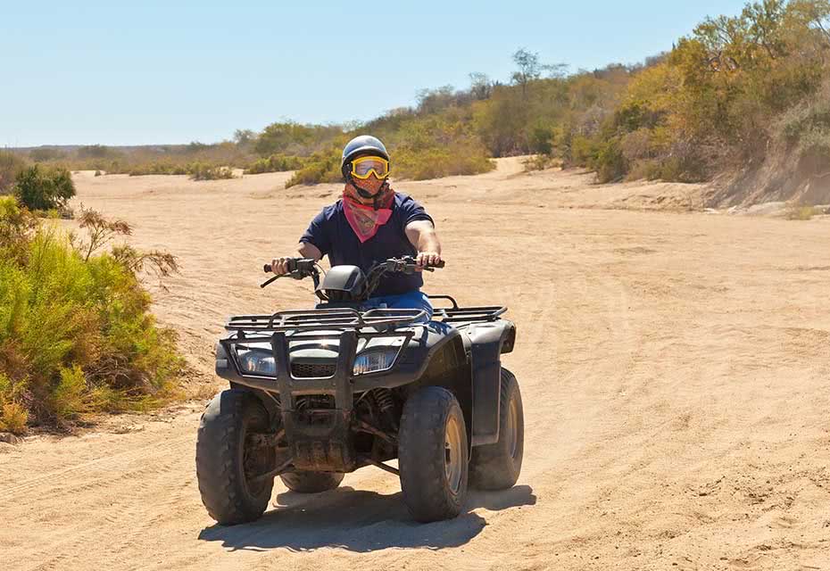 Top 5 Cabo San Lucas Tours & Activities You Need to Try | Hyatt