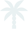 palm-small.png