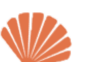 rays-circle-right.png