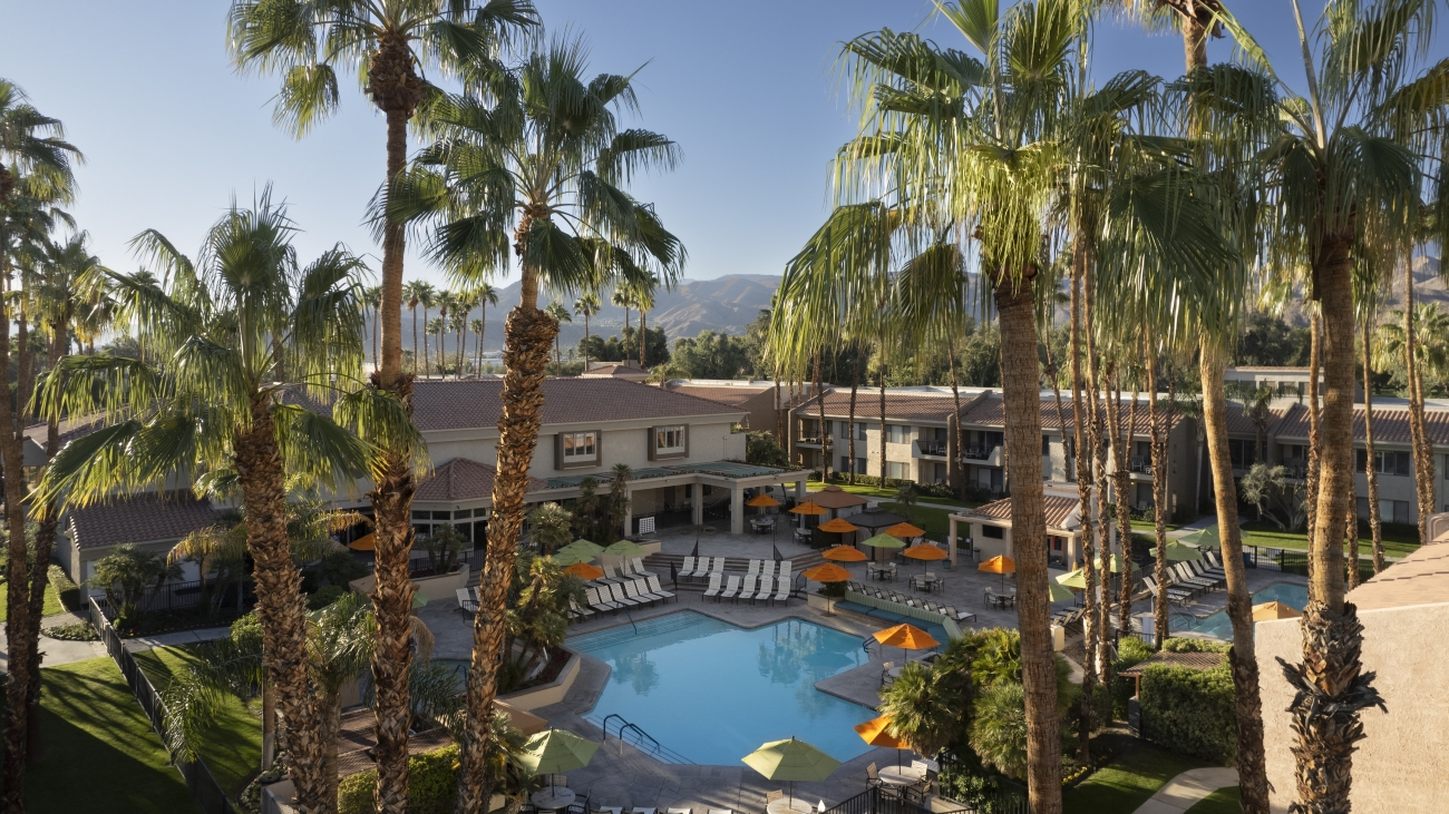 Aerial view of the resort's pool with lounge chairs, umbrellas, and palm trees