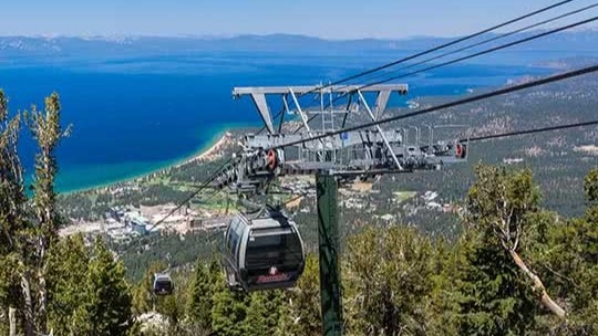 Gondola ski lift climbs a tree-lined mountainside