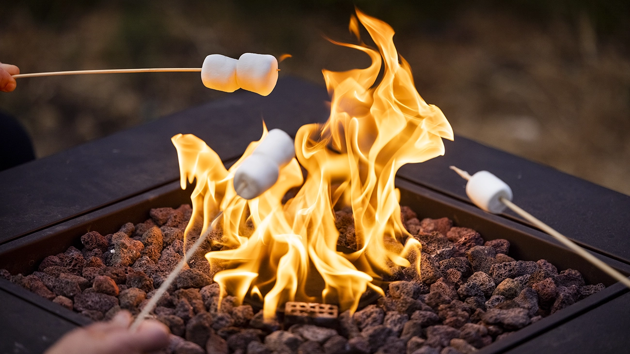 Roasting marshmallows over a fire
